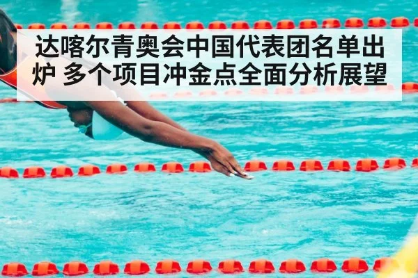 达喀尔青奥会中国代表团名单出炉 多个项目冲金点全面分析展望